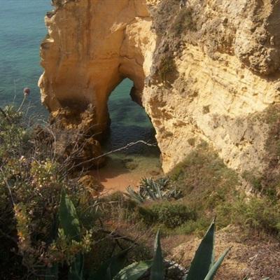 bob体育APP下载链接